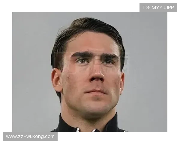 从单赛季爆发到状态起伏：弗拉霍维奇的职业轨迹