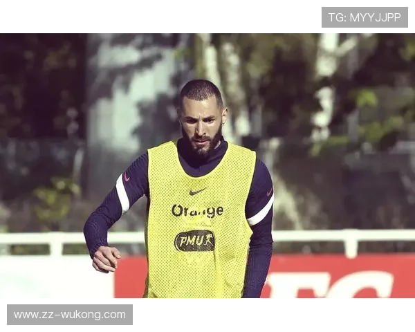 格列兹曼与本泽马：谁是法国队更关键的进攻核心